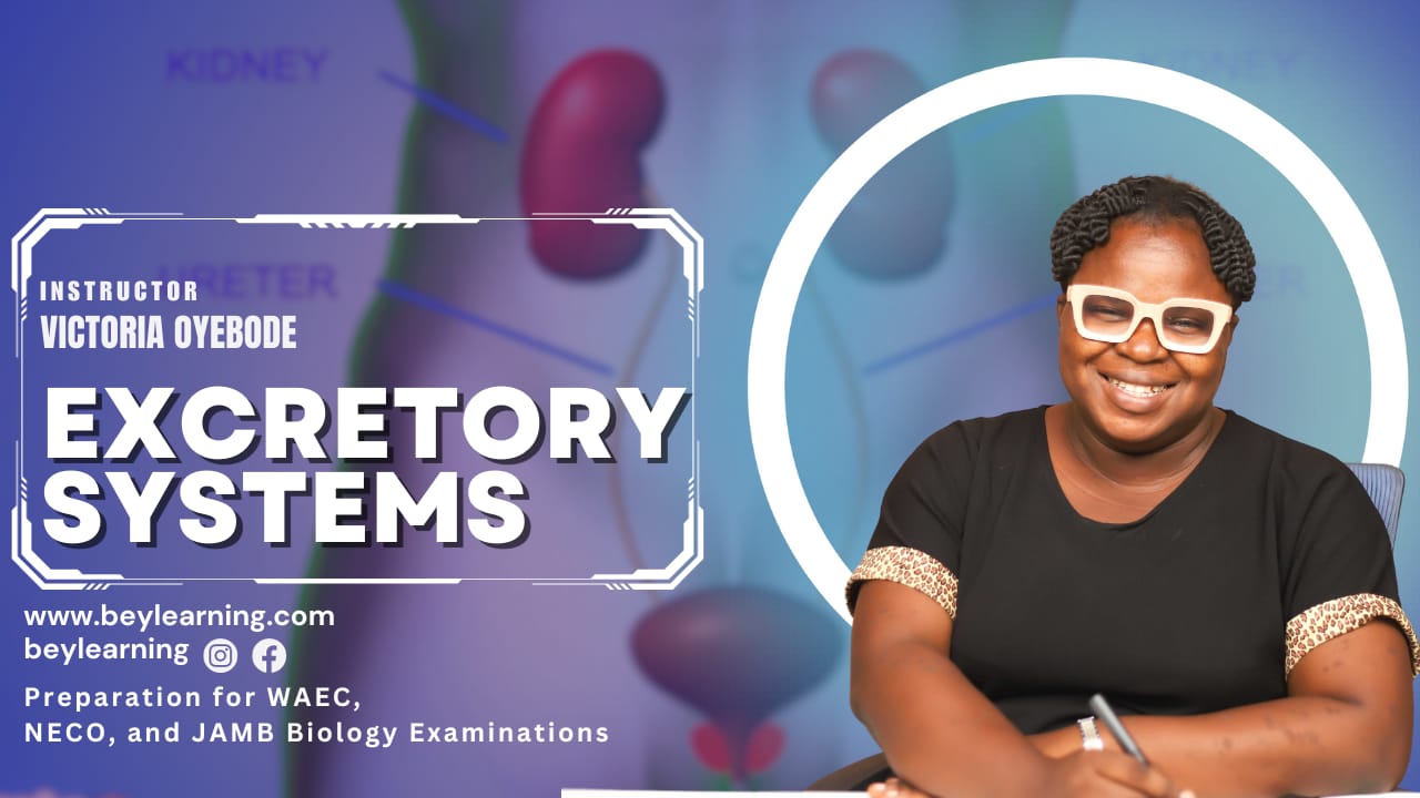 Biology Exam Preparation: Excretory Systems